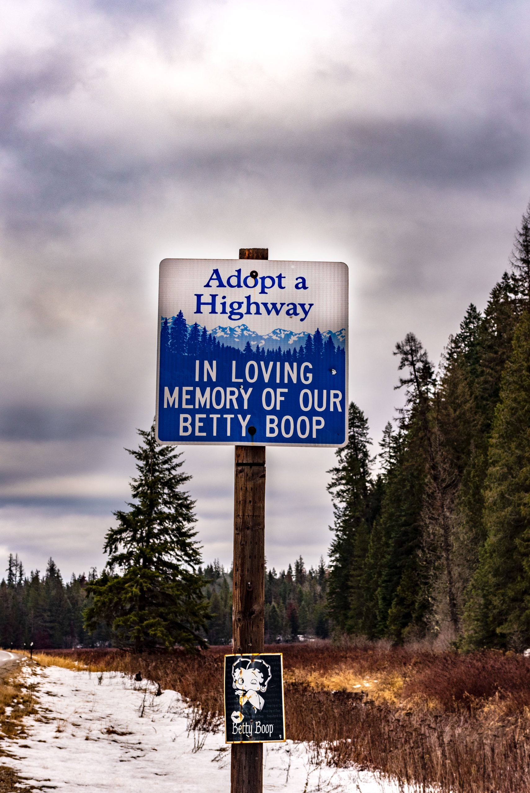 Adopt-A-Highway Sign "In Loving Memory of Our Betty Boop"