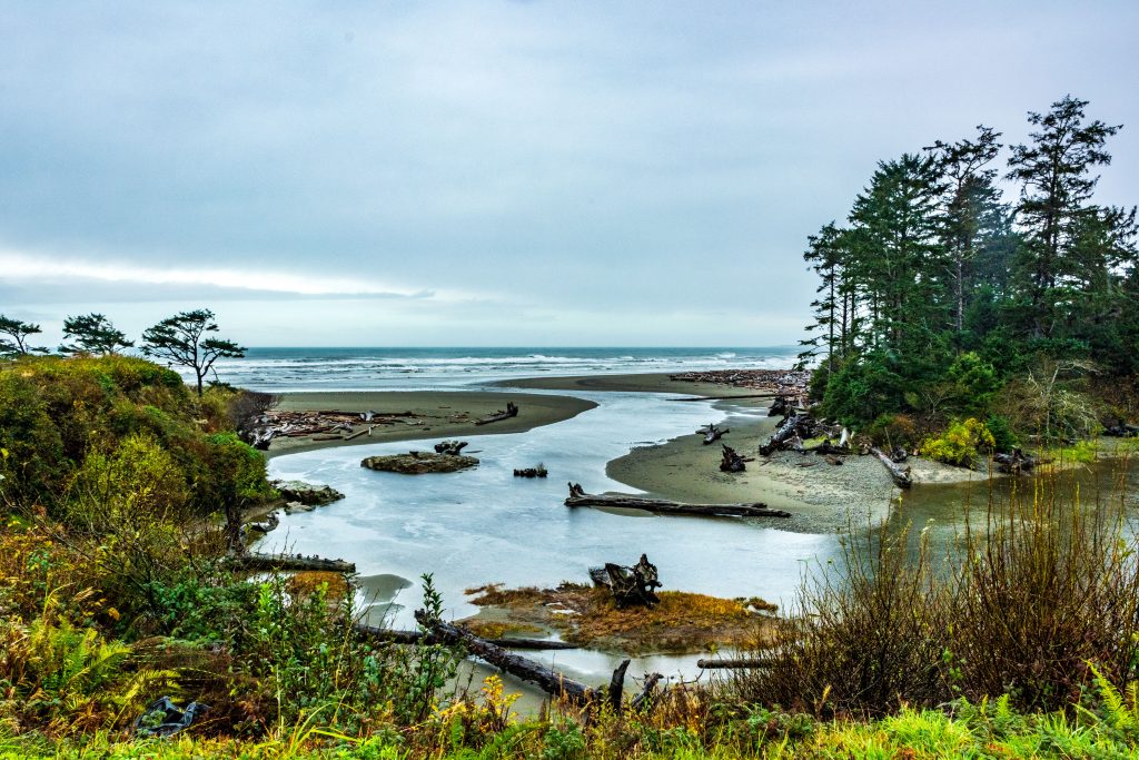 A photograph of Kalaloch Creek in Olympic National Park, where it flows into the Pacific Ocean.  I am marketing this photo as wall art at my Etsy shop.