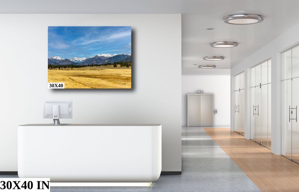 A 30x40" stretched canvas print hanging in an office setting
