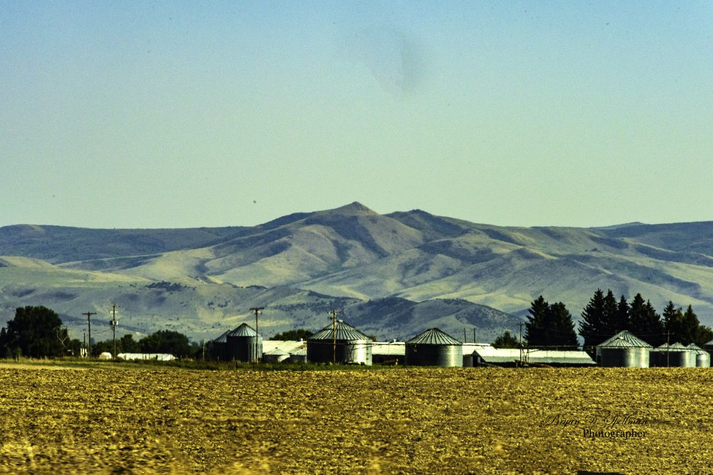 A Bingham County Farm