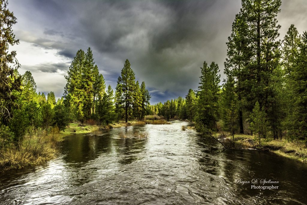 The North Fork of the Payette River which cuts through the heart of Valley County Idaho (travel destination), McCall Idaho (lake town), Payette Lake (alpine gem), Cascade Reservoir (north of Cascade), North Fork Payette (expert whitewater), Roseberry Ghost Town (well-preserved history), Idaho Rockies (mountain region), Idaho Travel (Pacific Northwest focus), Brundage Mountain (McCall ski resort), Payette National Forest (wilderness access)
alley County Idaho, north of Cascade, Idaho
