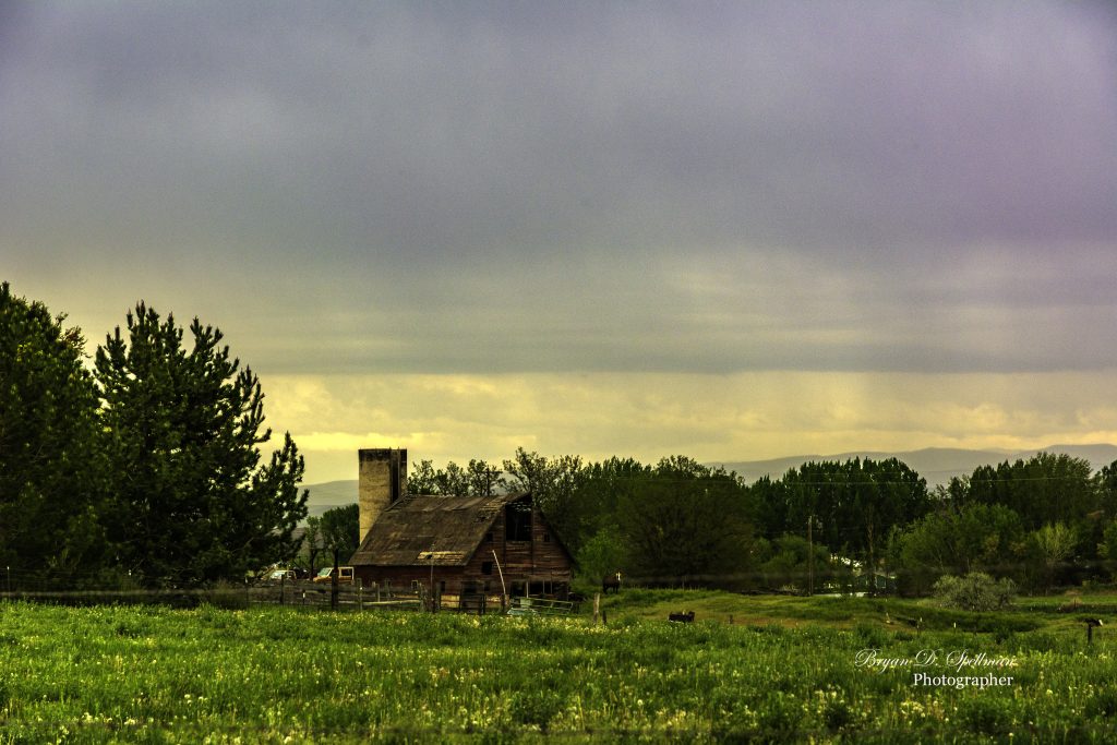 A Canyon County Farm